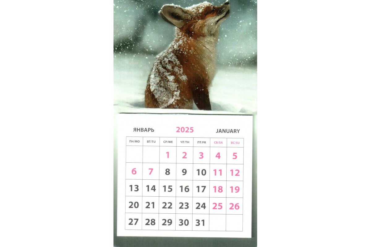Календарь на магните - Лиса