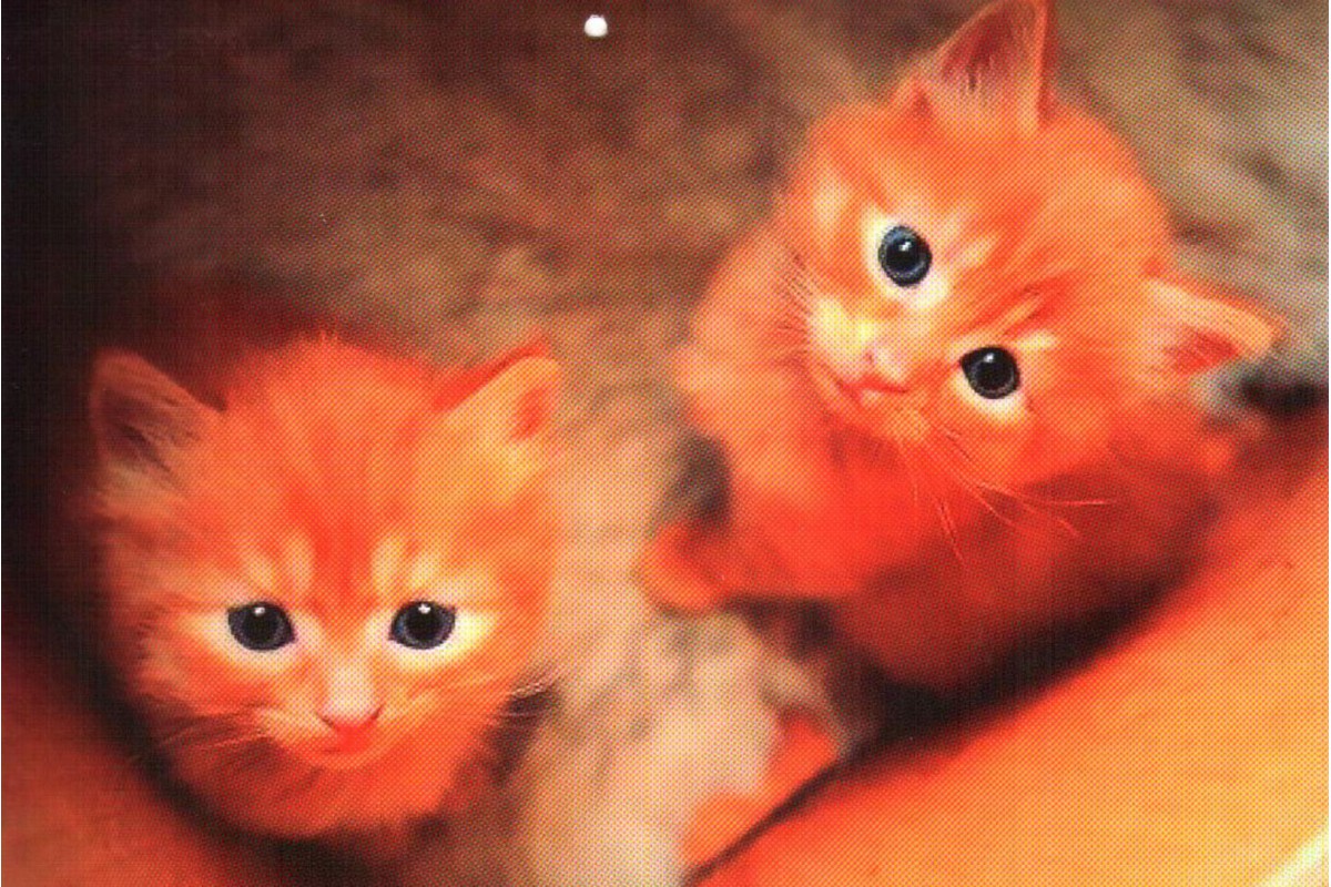 Календарь малый "Два рыжих котенка"