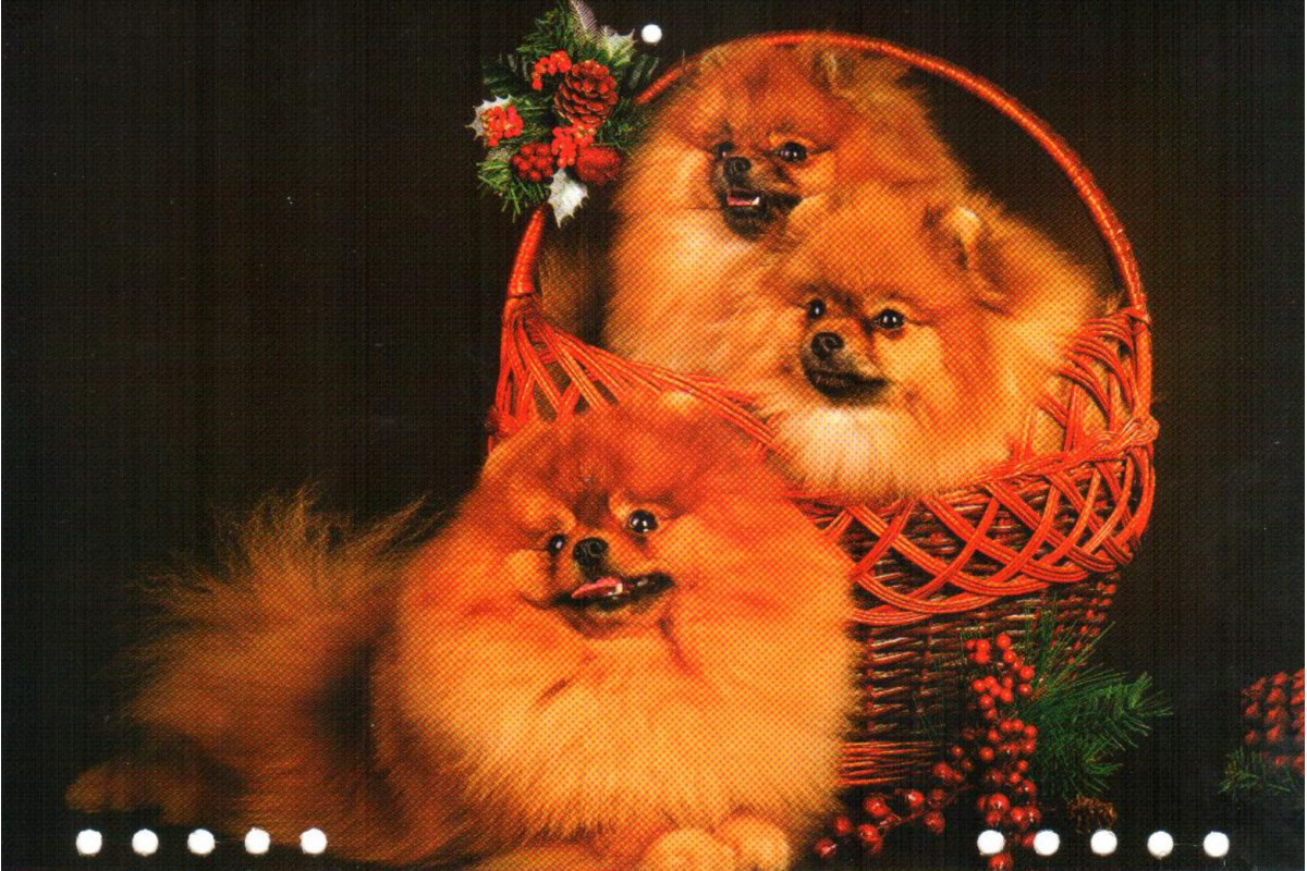 Календарь малый "Три щенка в корзине"