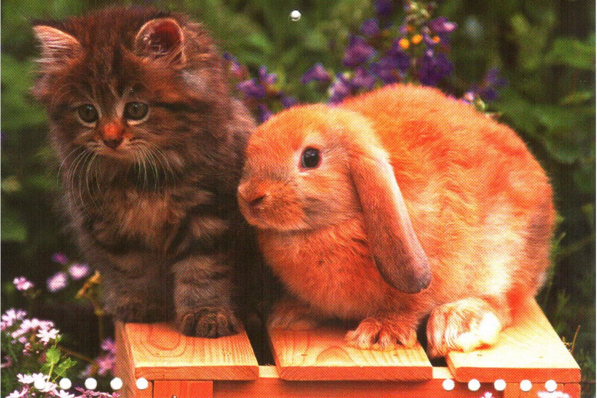 Котенок и кролик на скамейке - календарь малый с символом года