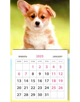 Календари на магните - Животные