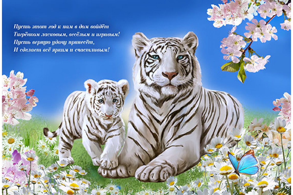 Белые тигр и тигренок - календарь малый с символом года