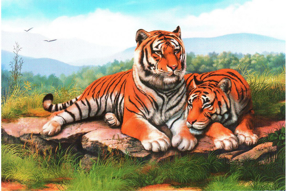 Два тигра (2) - календарь малый с символом года