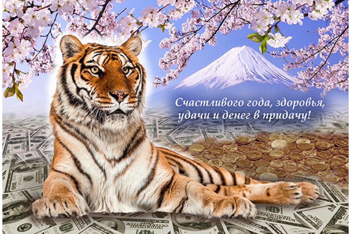 Тигр и саккура - календарь малый с символом года