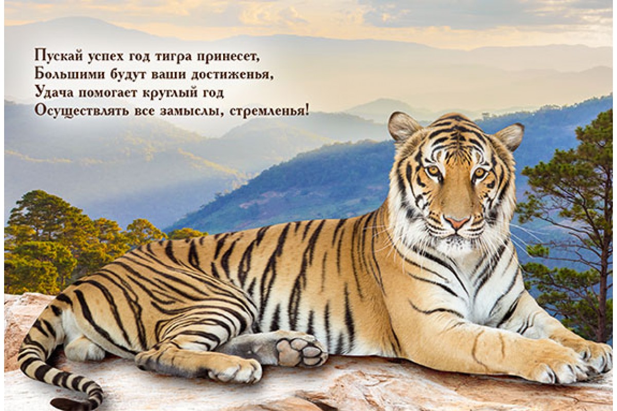 Тигр на фоне гор - календарь малый с символом года