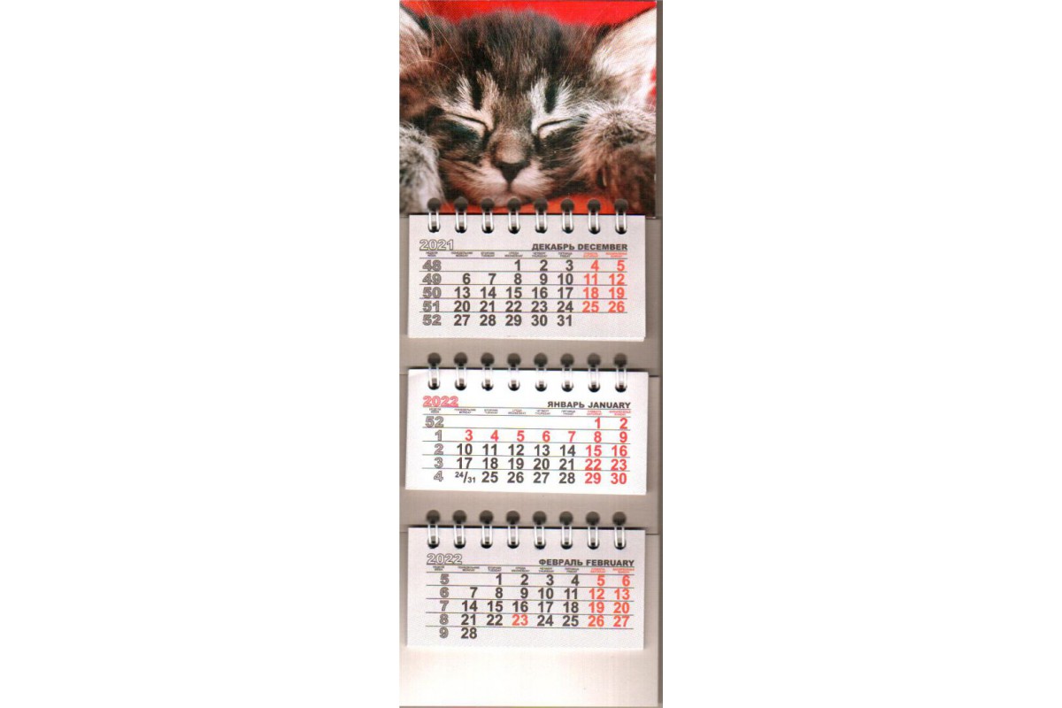 Календарь микро-трио "Котенок. Спит"