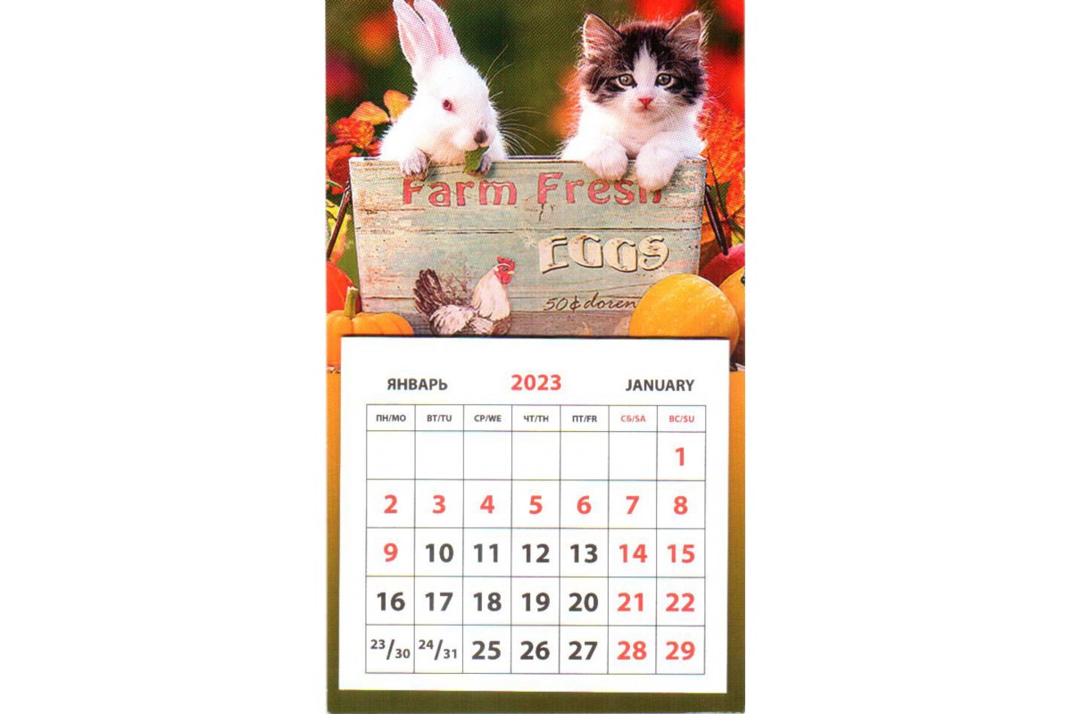 Календарь на магните - Белый кролик и котенок в ящике