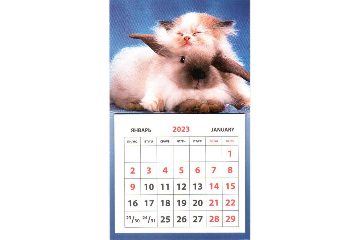 Календарь на магните - Котенок спит на кролике