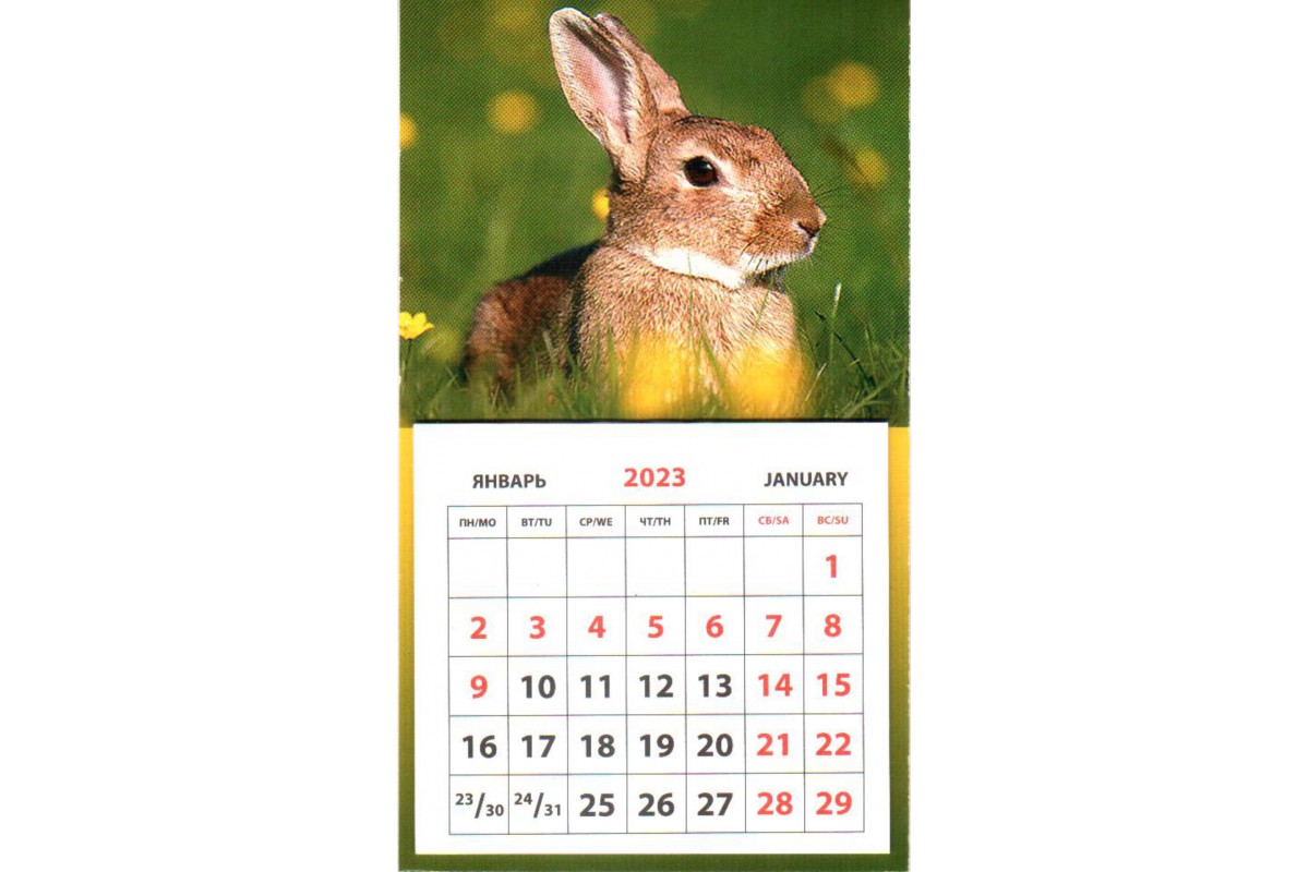 Календарь на магните - Кролик на зеленом фоне
