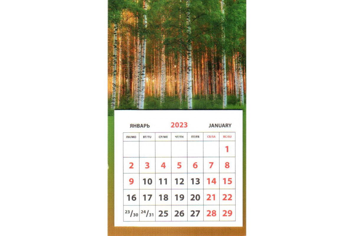 Календарь на магните - Березовая роща