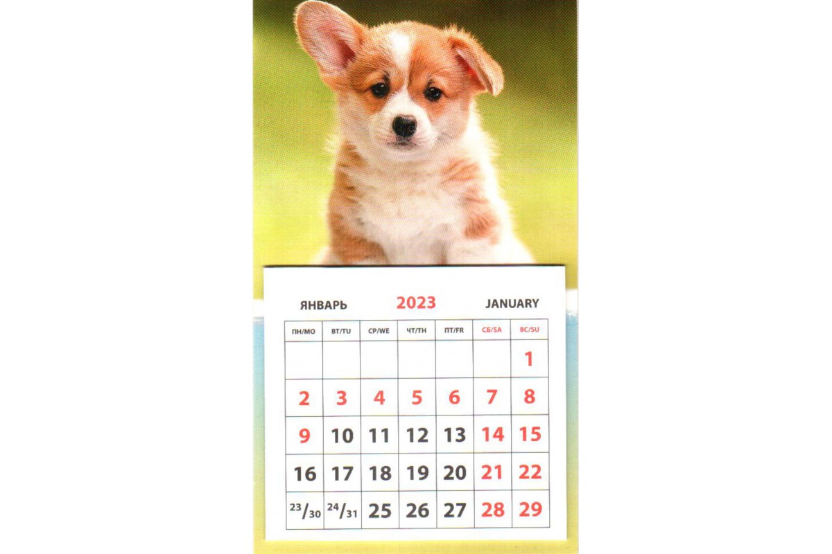 Календарь на магните - Щенок