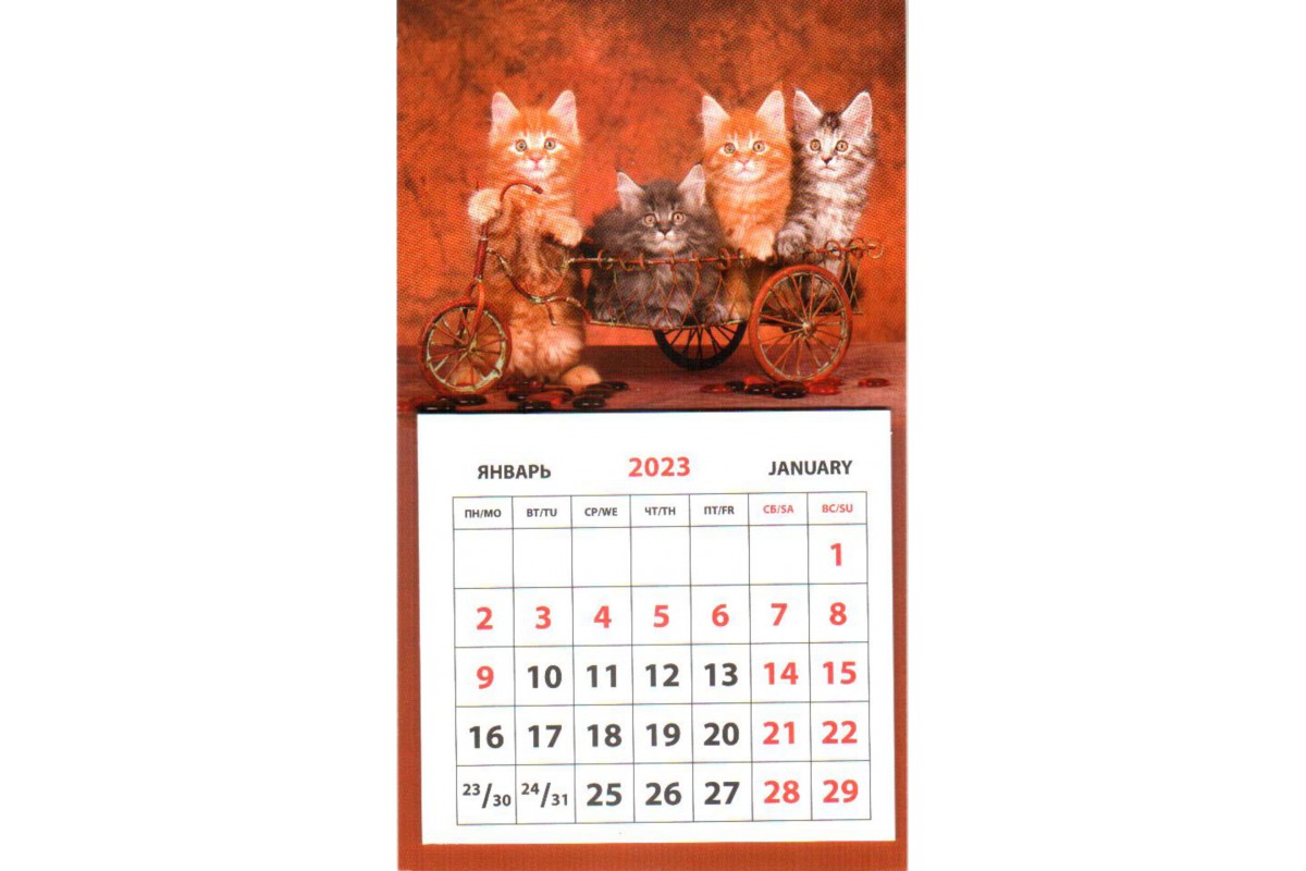 Календарь на магните - Котята на велосипеде