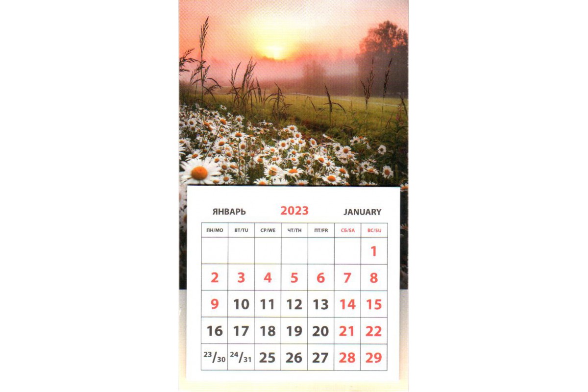 Календарь на магните - Утро. Ромашки