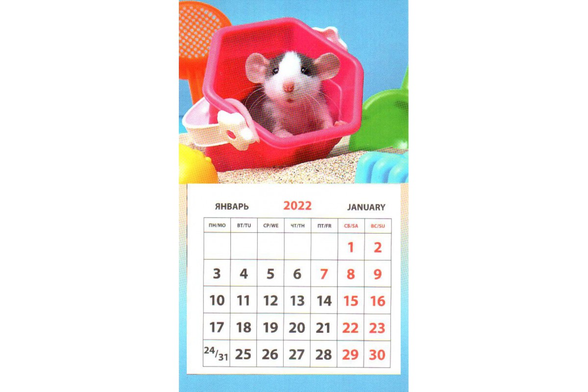 Календарь на магните - Мышонок в ведерке