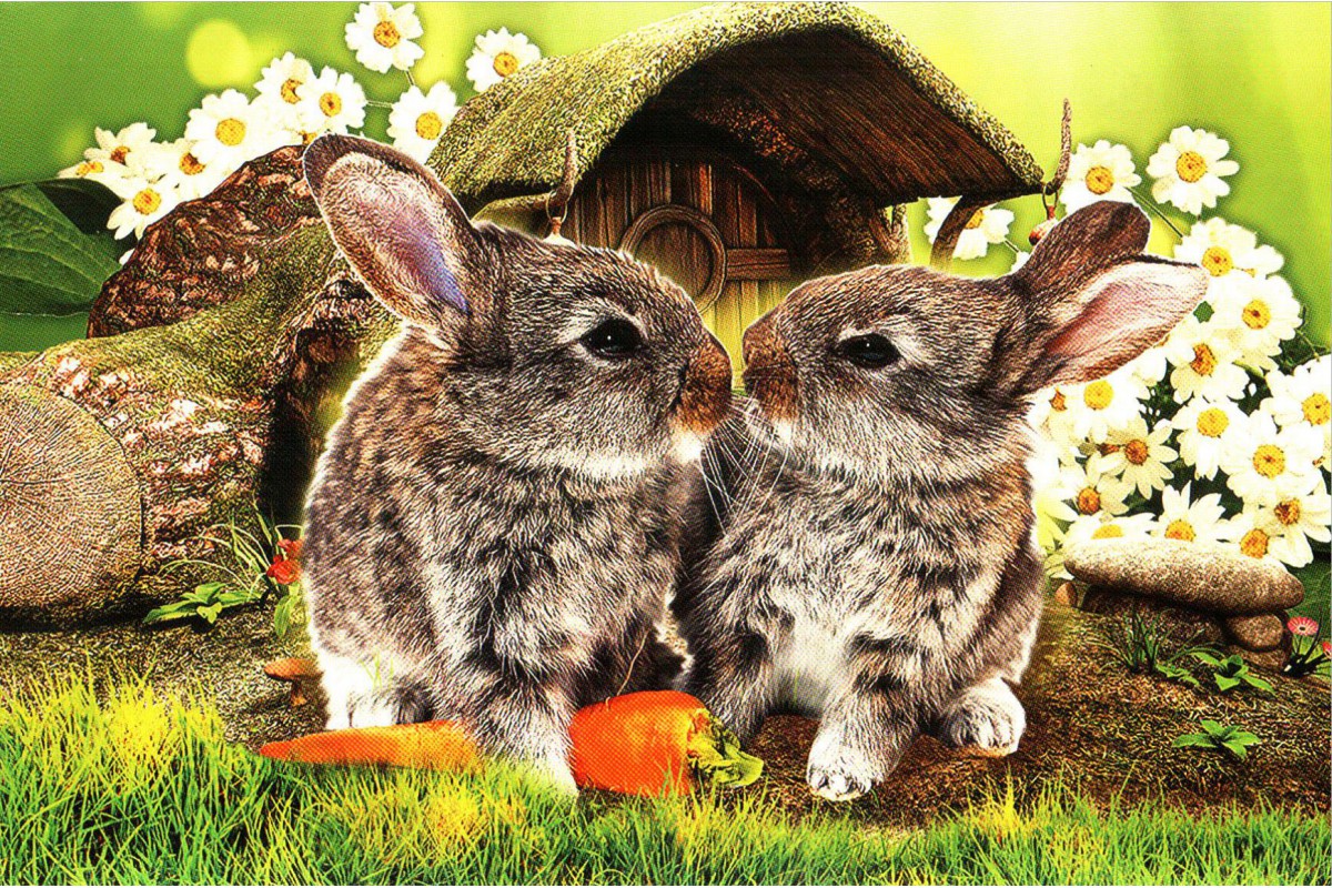 Два серых кролика - календарь шорт с символом года