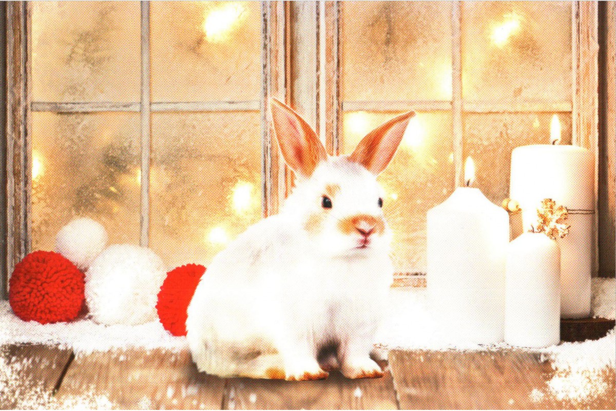 Кролик. Новый год.. - календарь трио с символом года
