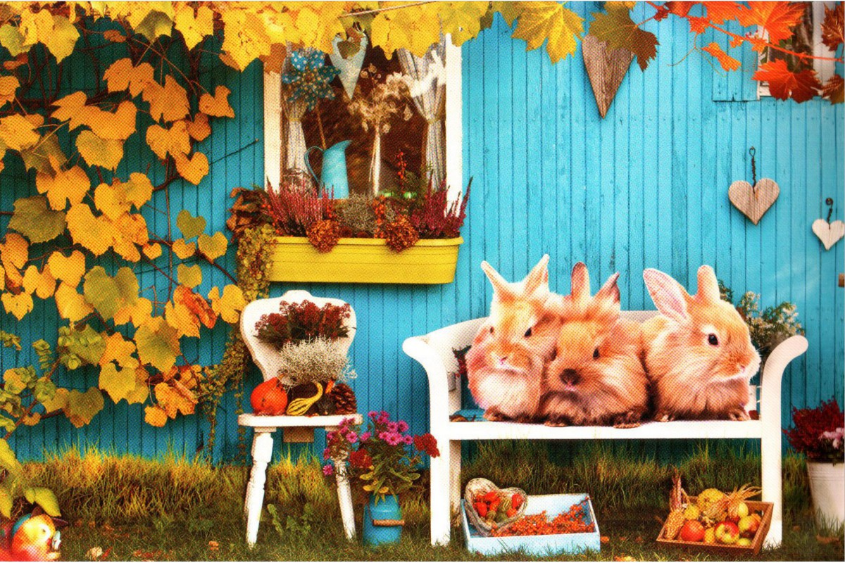 Кролики на скамейке - календарь трио с символом года