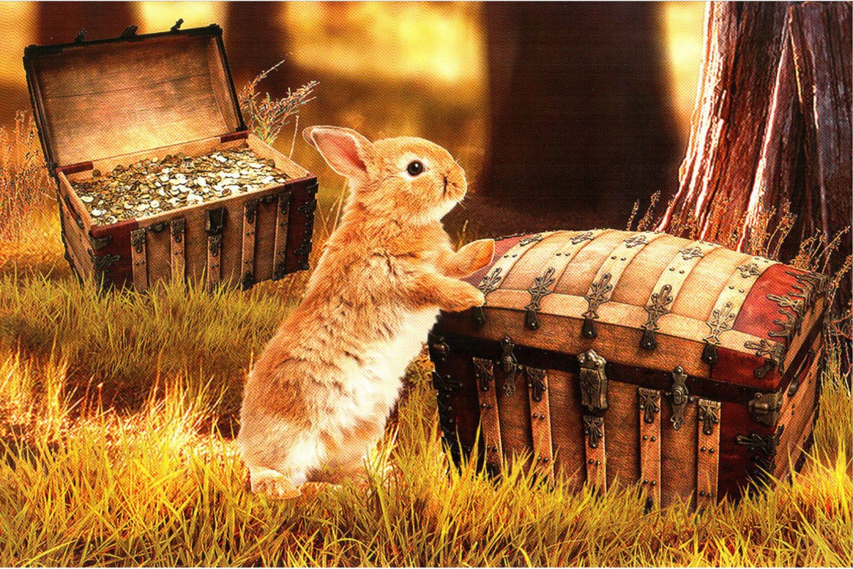 Кролик с сундуками - календарь шорт с символом года
